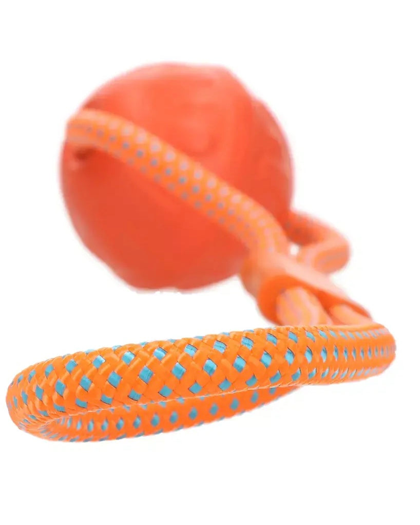 Dog Comets Vortex Loop (Orange)