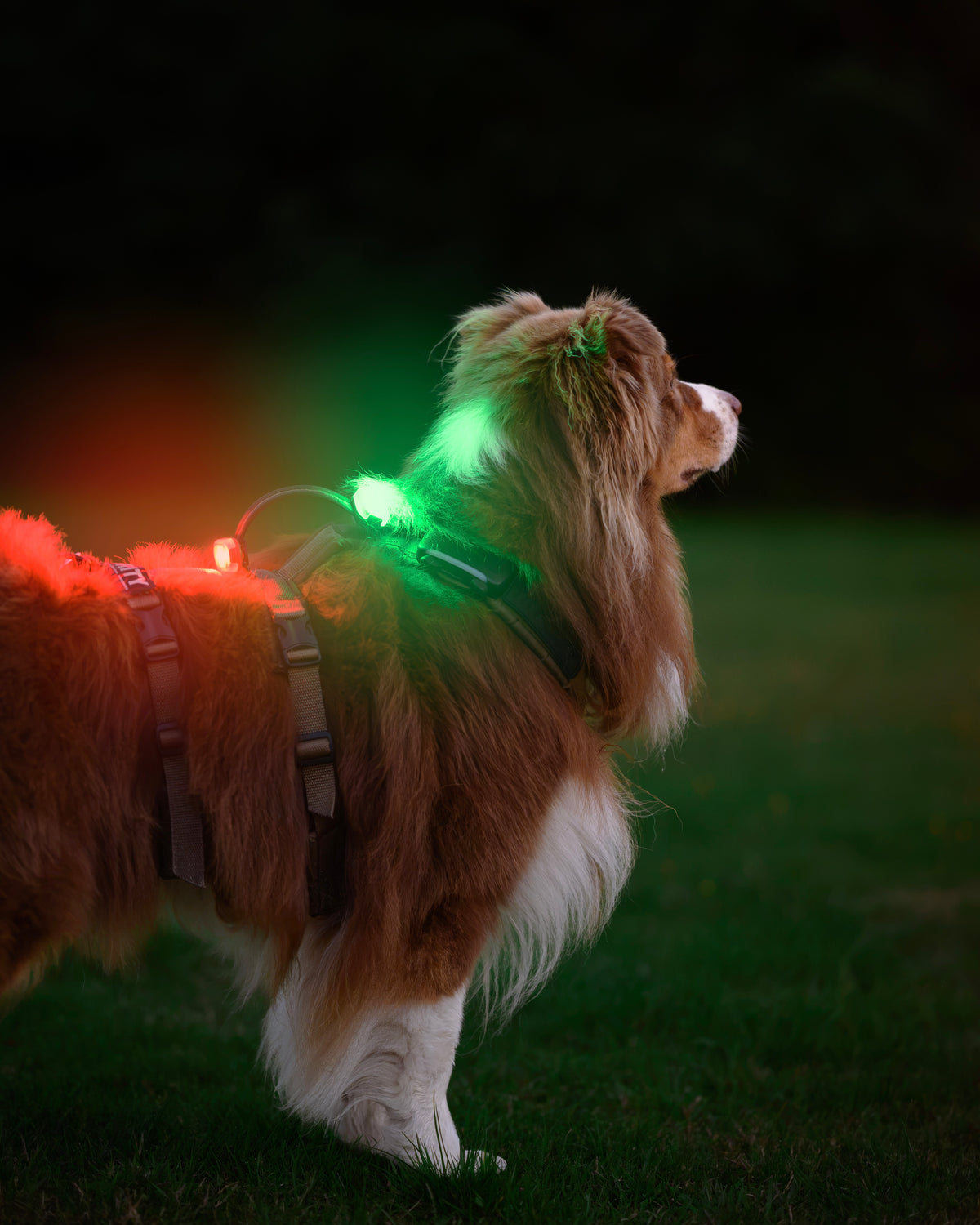 Reelight SWITCH safety light (green/white)