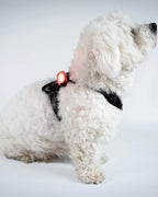 Reelight switch safety light (red/white)
