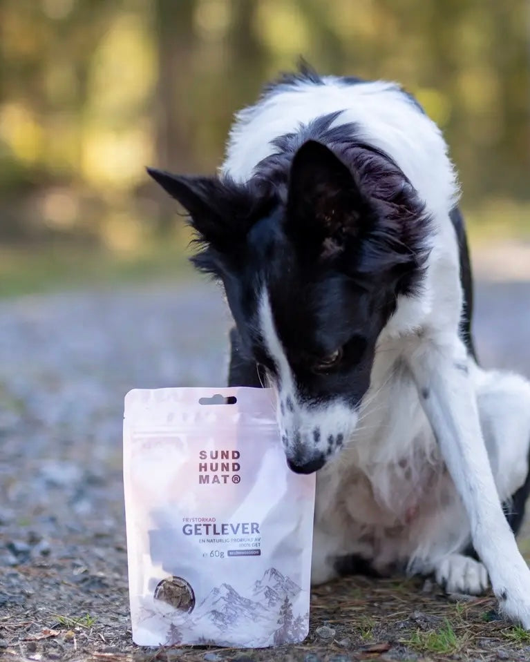 Frysetørret Gedelever - 60g