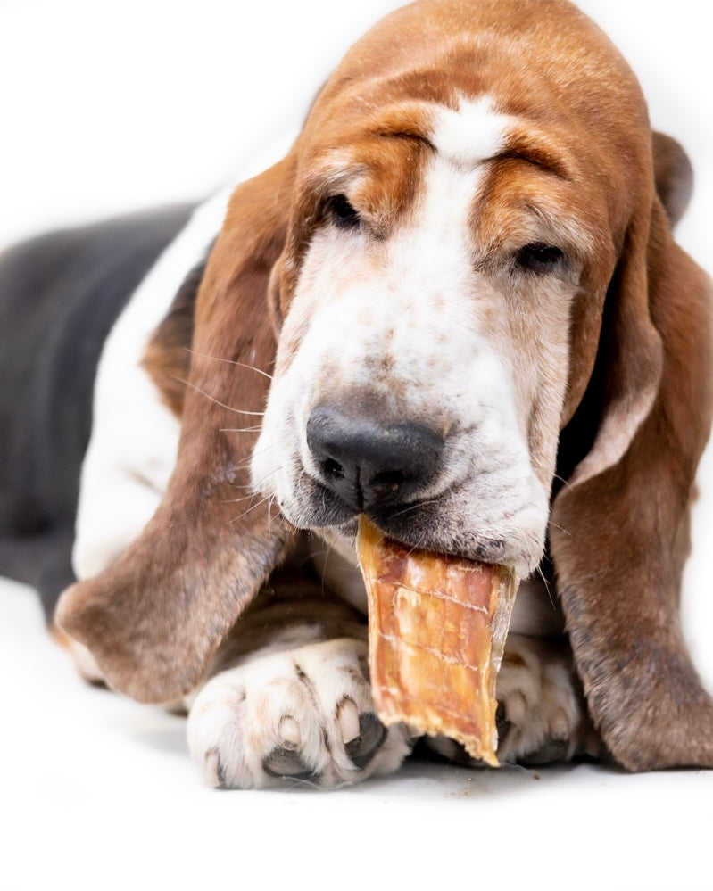 Snack'it Valsede Spiserør Okse 200g