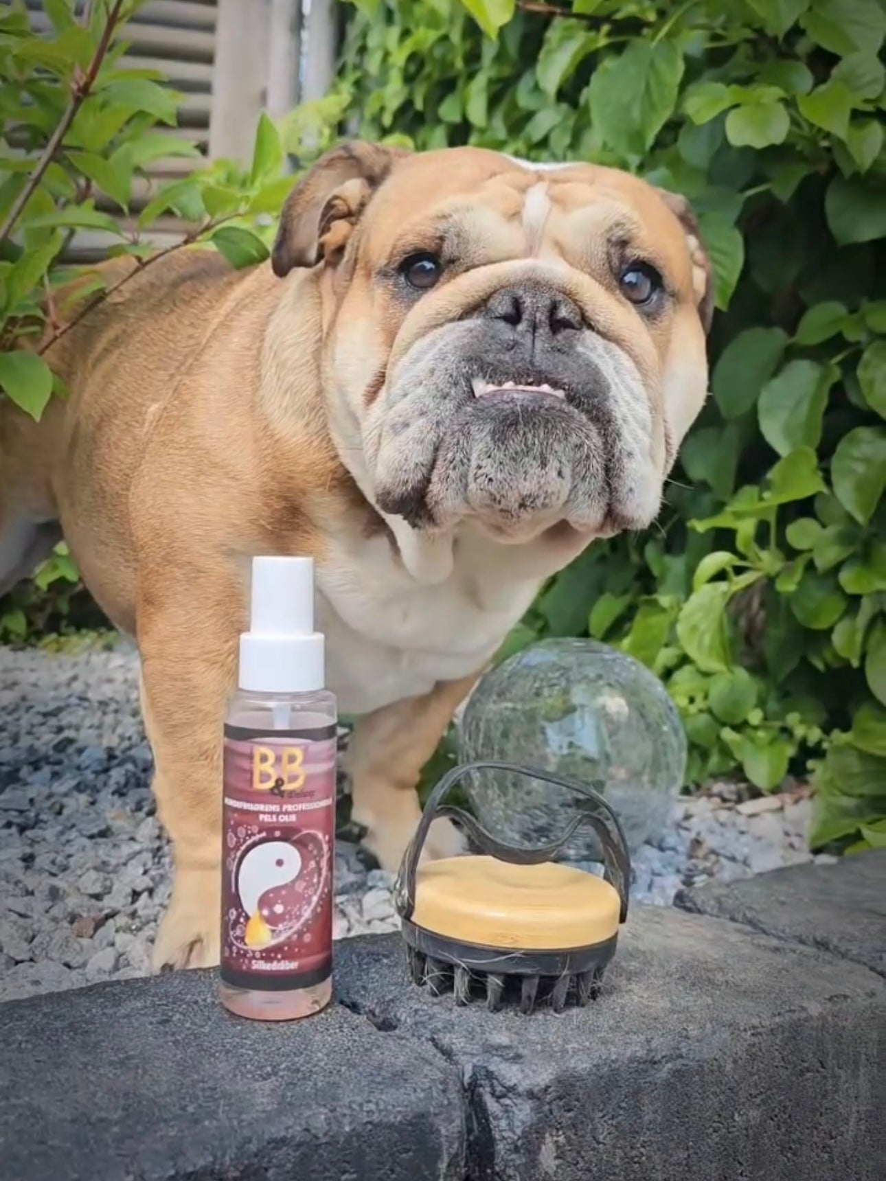 Luksus Massagebørste 2i1