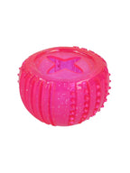 Dog Comets Treat Locker (Pink)