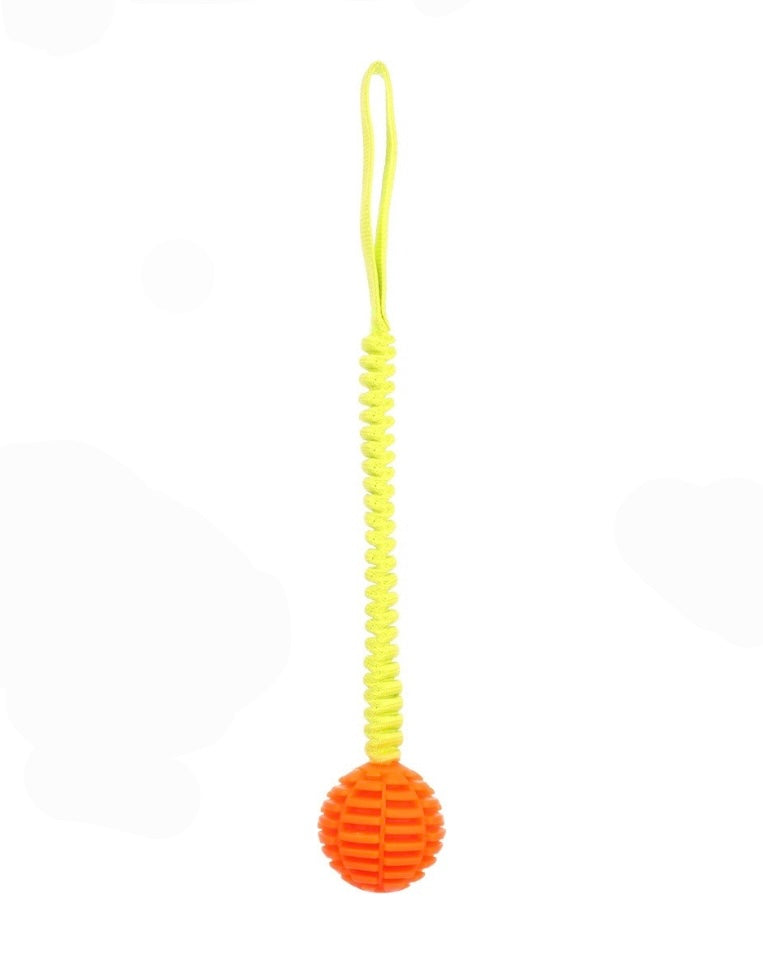 Toy Lipa Tug Rope With Ball