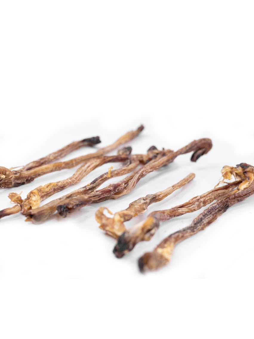 Snack’it lammepenis
Naturlig snack
Hundegodbid
Tyggesnack