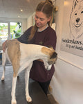 Hundeosteopati
