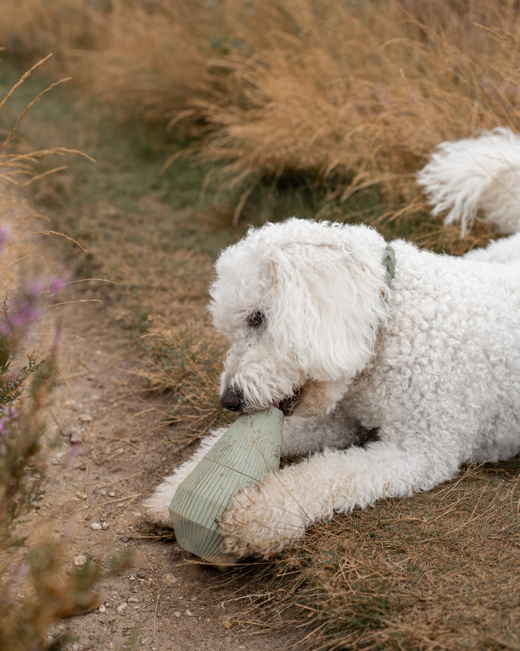 YUME - LIME