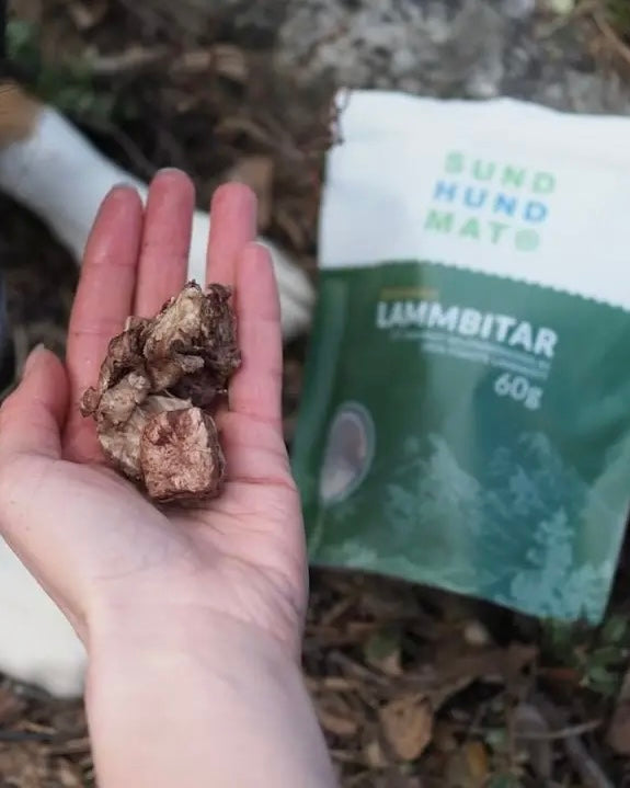 Frysetørret Lammelunge - 60g