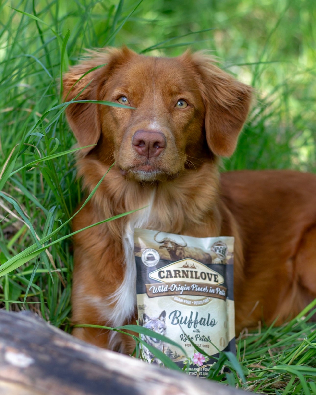 Carnilove Pouch Paté Duck with Timothy Grass 300 g