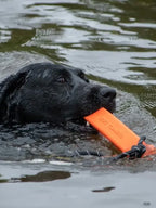 Dog Comets Dummy (Orange)