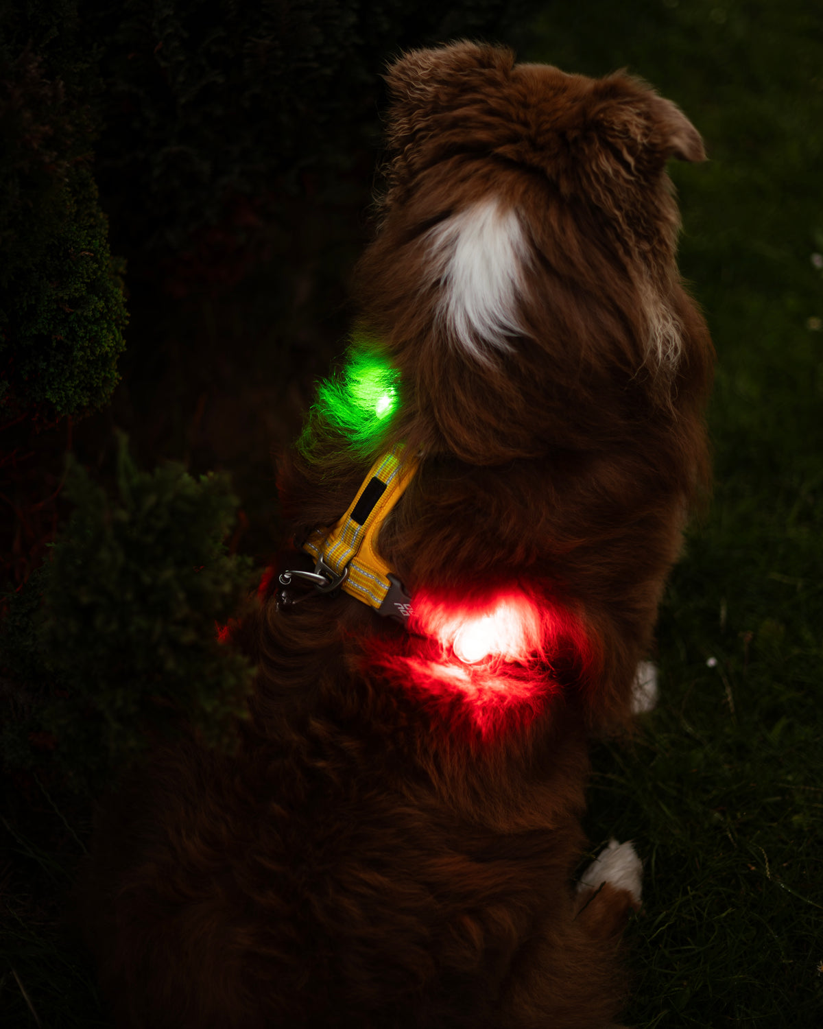 Reelight SWITCH safety light (green/white)