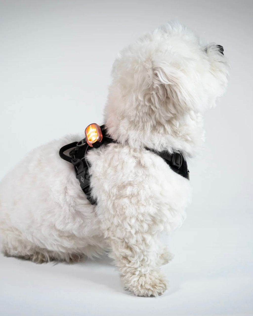 Reelight SWITCH safety light (orange/white)