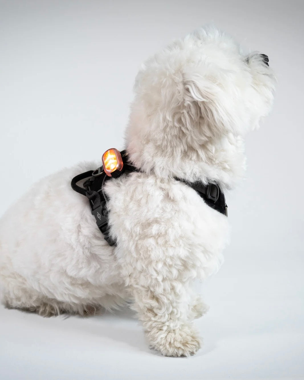 Reelight SWITCH safety light (orange/white)