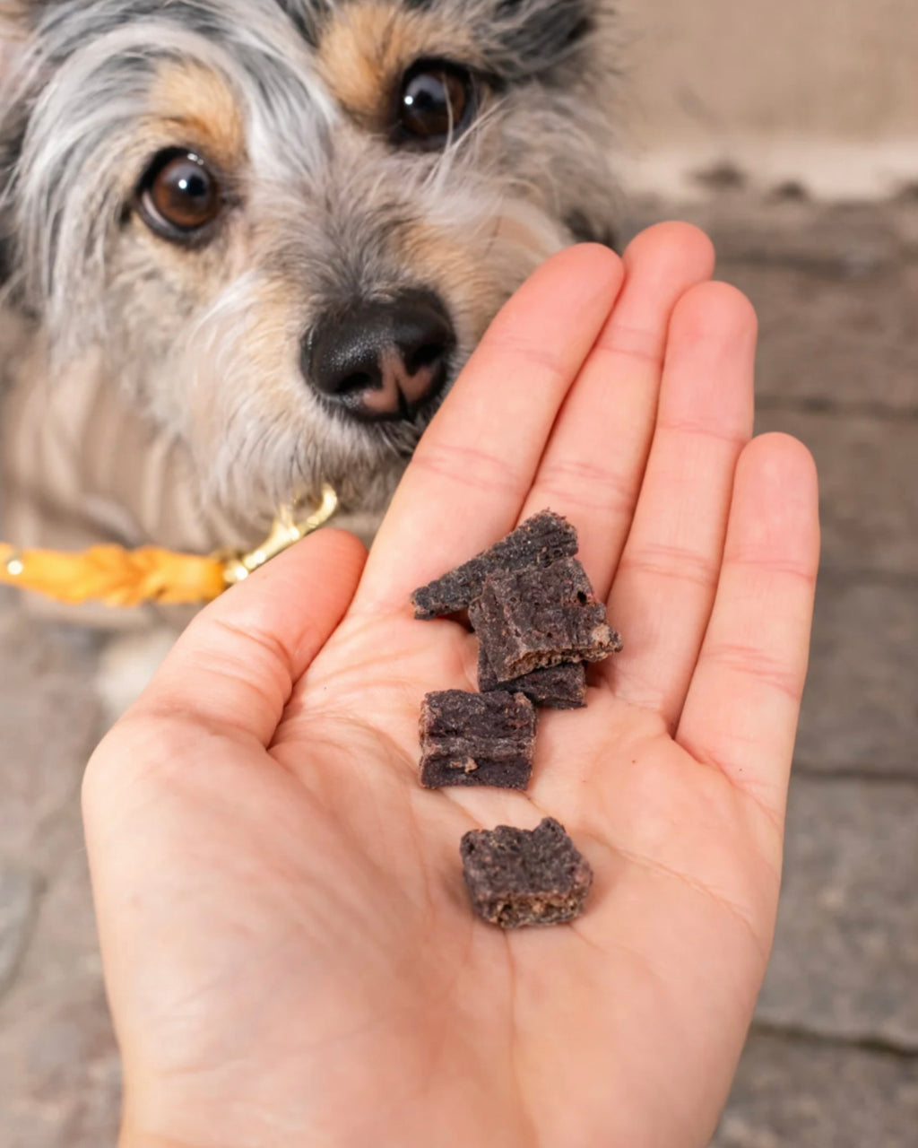 Pala Treats 100% Beef Heart