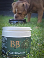 B&B Glucosamin +