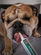 B&B ProDigestVet 15 ml.