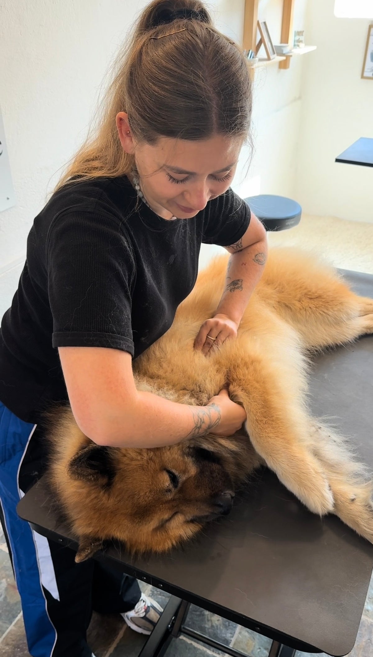 Hundemassage