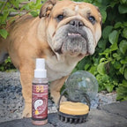 B&B Deluxe Professionel Pelsolie - Silkedråber