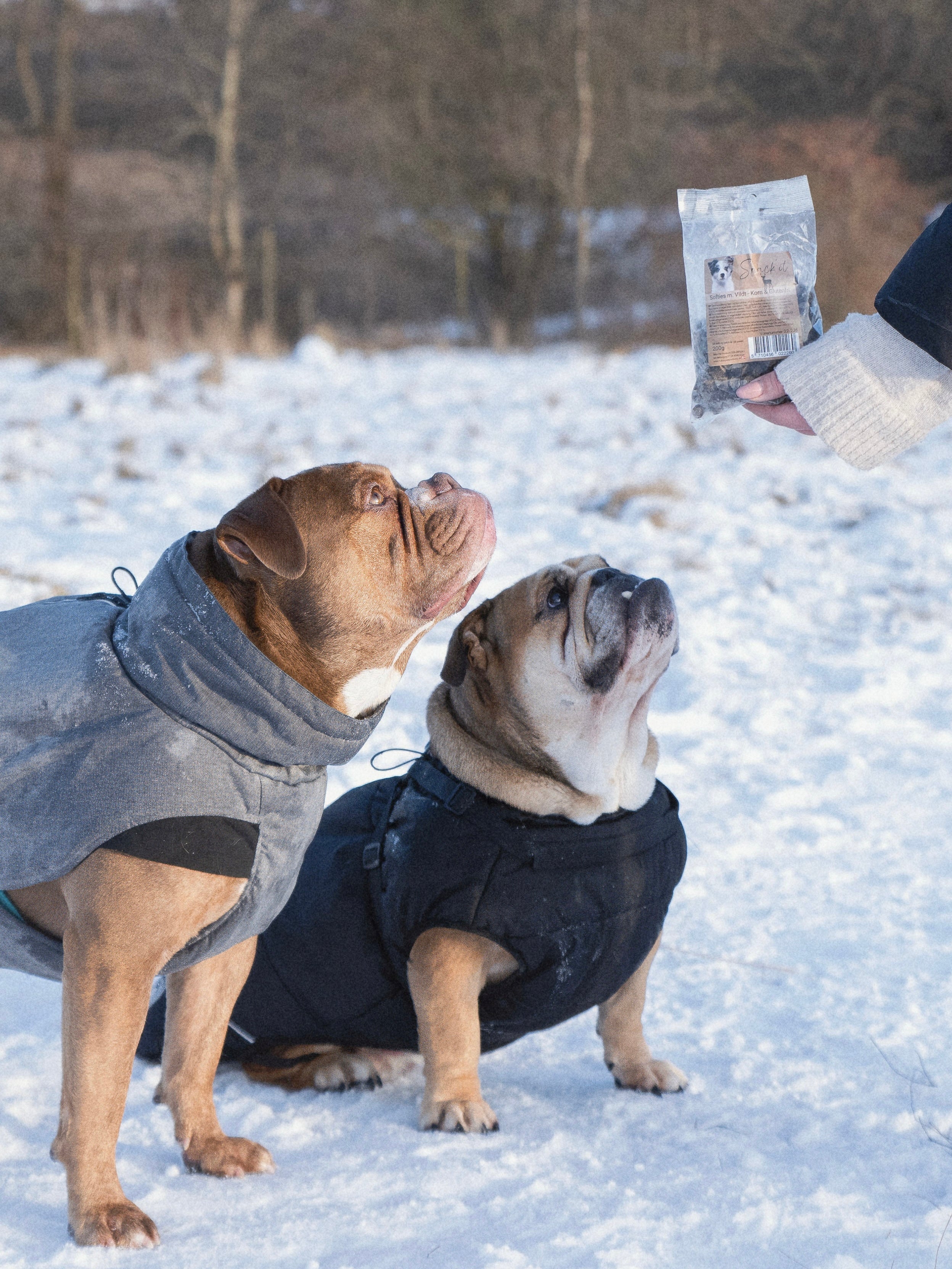 Snack’it softies m. Vildt
Naturlig snack
Hundegodbid
Træningsgodbid
