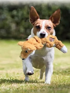 Kong Scrunch Knots Fox M/L