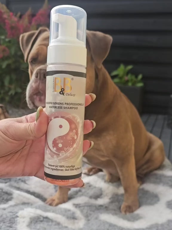 B&B Waterless shampoo DeLuxe - 200ml.